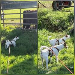 Wurden gleich mal ausgemeckert