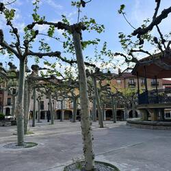 Beautiful plaza in Belorado
