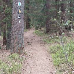 Immer weiter auf dem Heidschnuckenweg