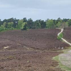 Schöne Aussichten auf die Heide