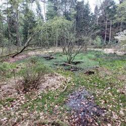 Aussicht während der Mittagspause