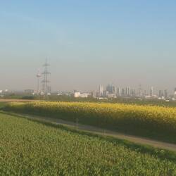 Blick auf Frankfurt
