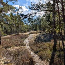 Gerade eben lag noch Schnee