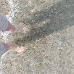 Das Wasser war🥶