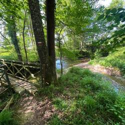 You can't actually see the bridge from the path