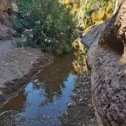 Herrlich erfrischend und feucht, mit Farn und Moos und vielem anderen dem Wasser entlang
