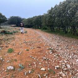 Stony road