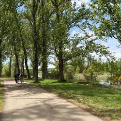 Lovely path by the river