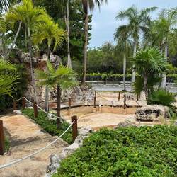 Hotel garden 🪴