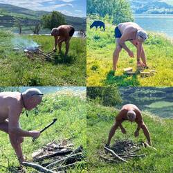 Lesley hilft natürlich fleißig mit beim Holz sammeln 🐾❣️😎