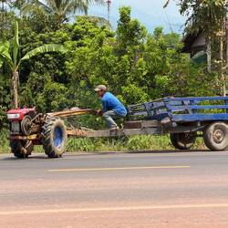 'Iron buffaloes' or tak taks are common vehicles. To turn, as here, you jump off to steer.
