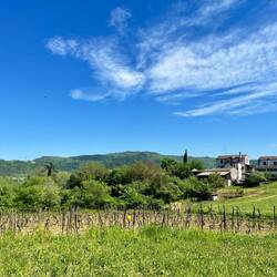 Du soleil, des vignes, de jolies maisons. Ça ressemble un peu à chez nous.