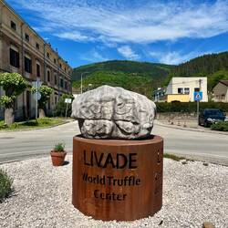 Capitale de la truffe