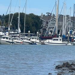 And this is the B dock.