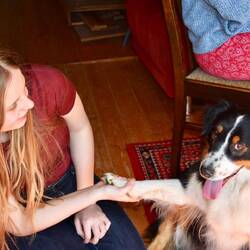 High Five Nala