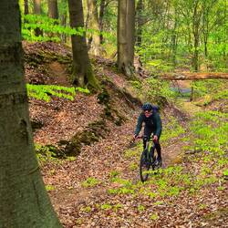 off Road kurz hinter Kiekindamark