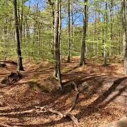 Schwedenschanze und Mäck-Pom