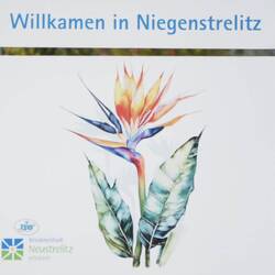 Der Blumenname SRELITZIE leitet sich von der Gräfin zu Strelitz ab
