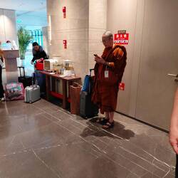 Auch ein Gast im Hotel