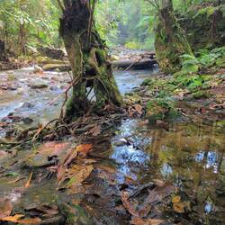 An der Schwefelquelle