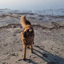 Letzte Strandrunde