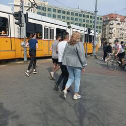 Meine Lieblings-Strassenbahn