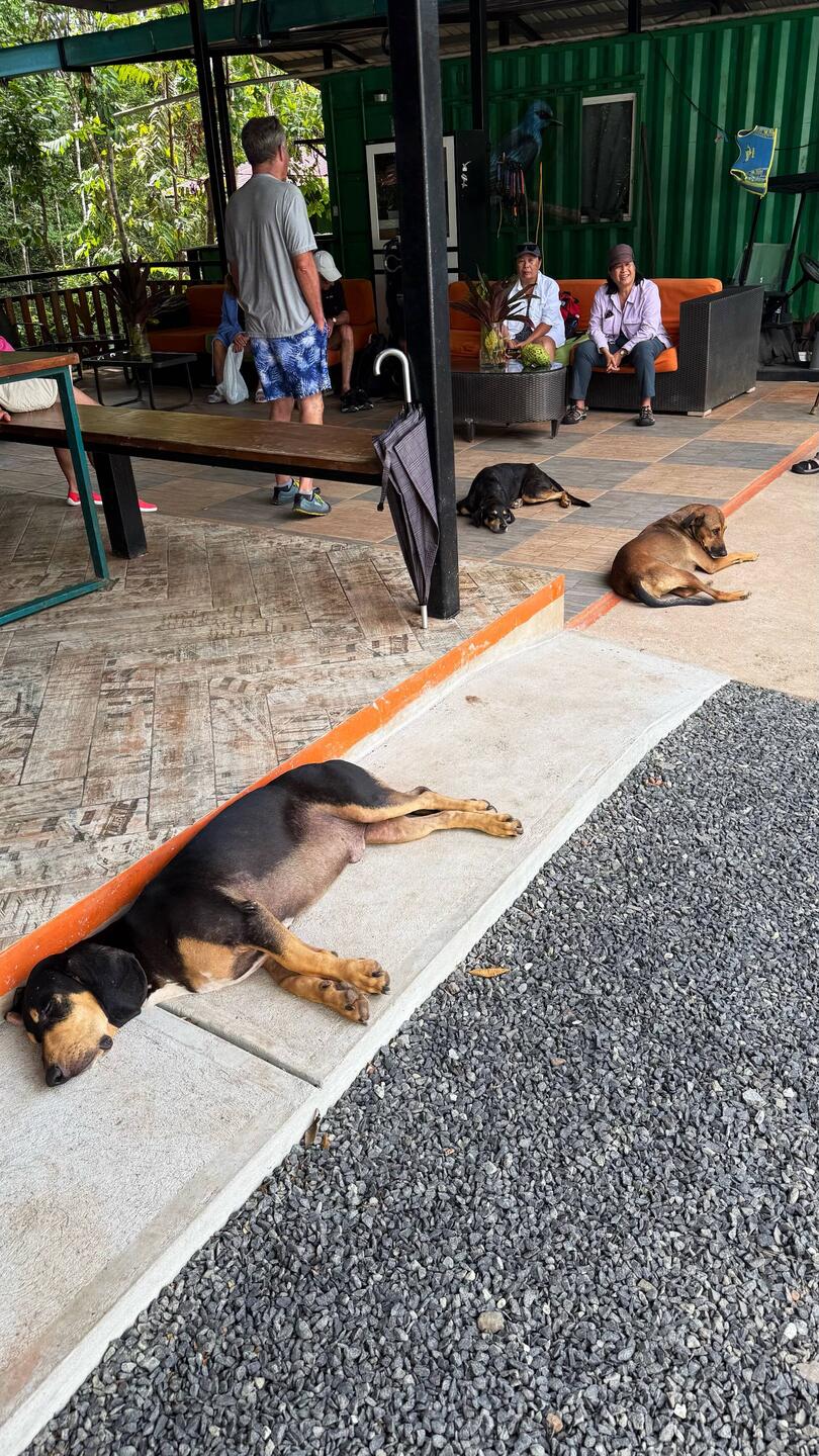 Kanustation mit "Wildlife" 🤪