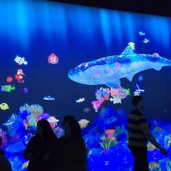 This room was so cool. We colored fishes and they were scanned and became part of the show.