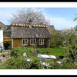 Verwunschene Gärten...