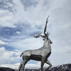 Stag!