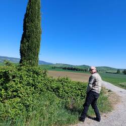 Olio su telo: "Pisciata panoramica"