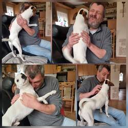 Wiedersehensfreude mit Herrchen