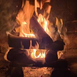 Abendfeuer für unser erstes Braii