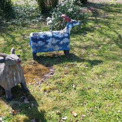 Heidschnucken in Undeloh