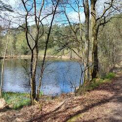 Und dann durch die Weseler Heide👍