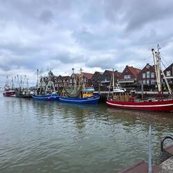 Der Hafen in Neuharlingersiel