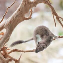 aber da muss er durch. Fotos von heute Abend