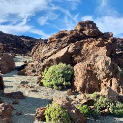 Im Teide Nationalpark