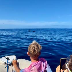 Whalewatching 🤩