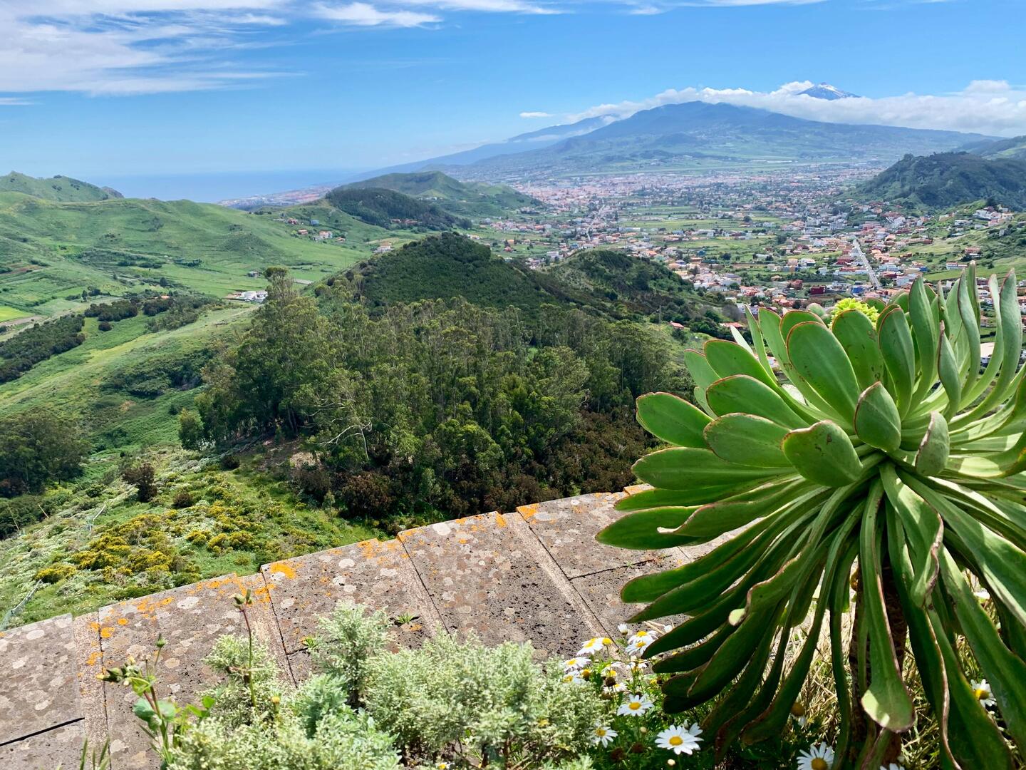Wir fahren einmal quer über die Insel. Im Hintergrund der Teide
