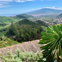 Wir fahren einmal quer über die Insel. Im Hintergrund der Teide