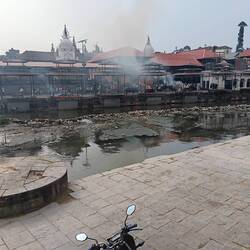 Cremation site on the Bagwati river. Note the sacred cow next to a cremation
