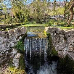 Château Chikovani... Garden