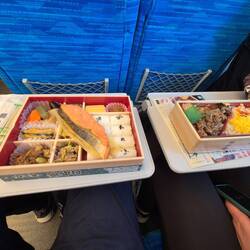 Ein klassisches Bento im Zug