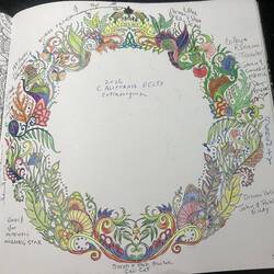 The closing of another page in my famous coloring book!