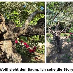 Foto-Challenge: gleiches Motiv!