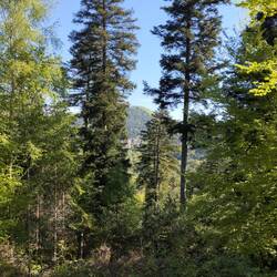 Les 🏰 de Wasigenstein, au fond