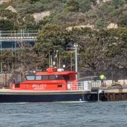 Pilot boat.