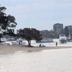 Sandy beach on the river bank.