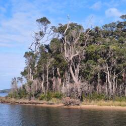 Walpole Inlet